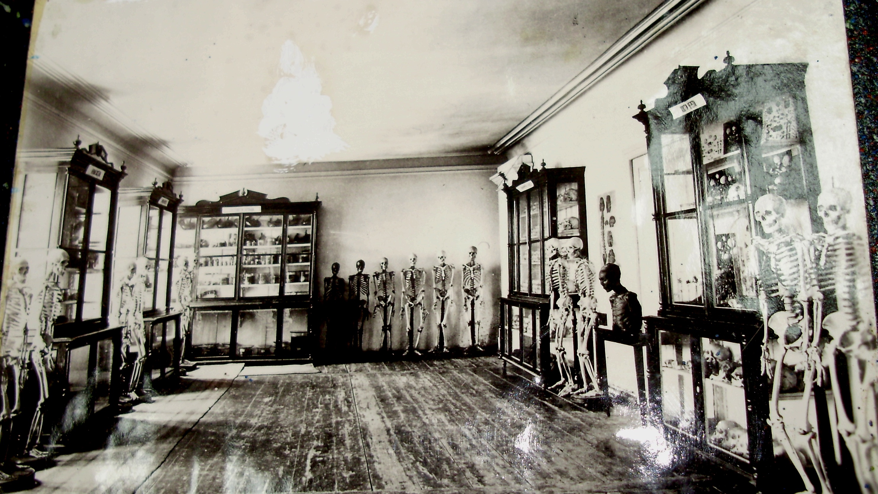 Первый музей кафедры анатомии человека в Староанатомическом корпусе